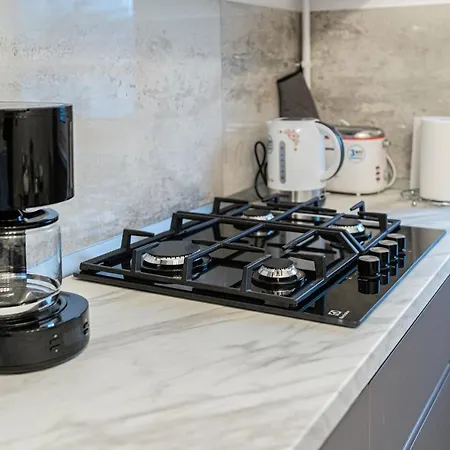 Old Town Luxury In New Building. Kluž