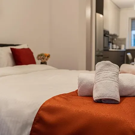 Old Town Luxury In New Building. *