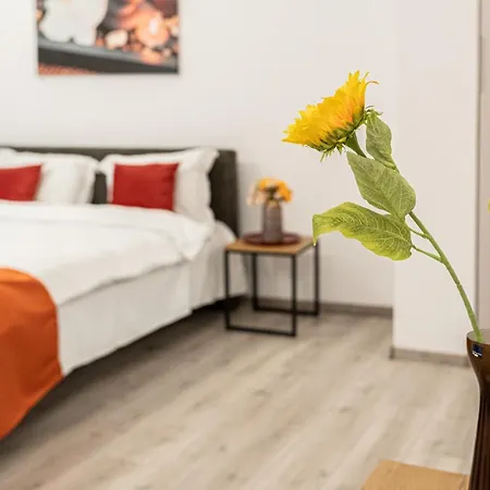 Old Town Luxury In New Building. Apartman Kolozsvár