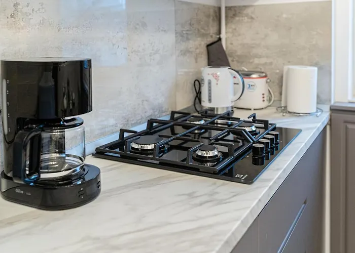 Old Town Luxury In New Building. Kluž