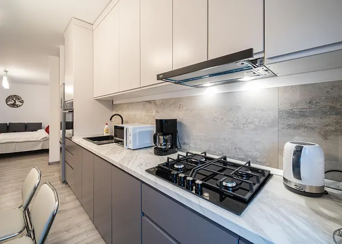 Old Town Luxury In New Building. Apartmán *